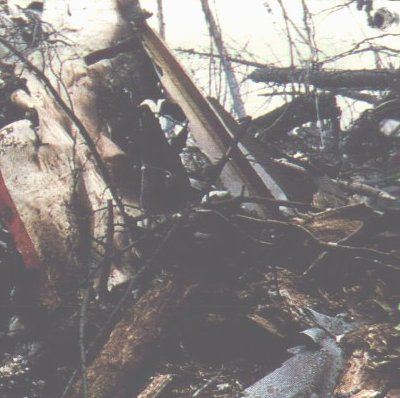 Wreckage of Japan Airlines Flight 123 on the remote, forested slope of Mount Takamagahara, Gunma Prefecture, August 1985