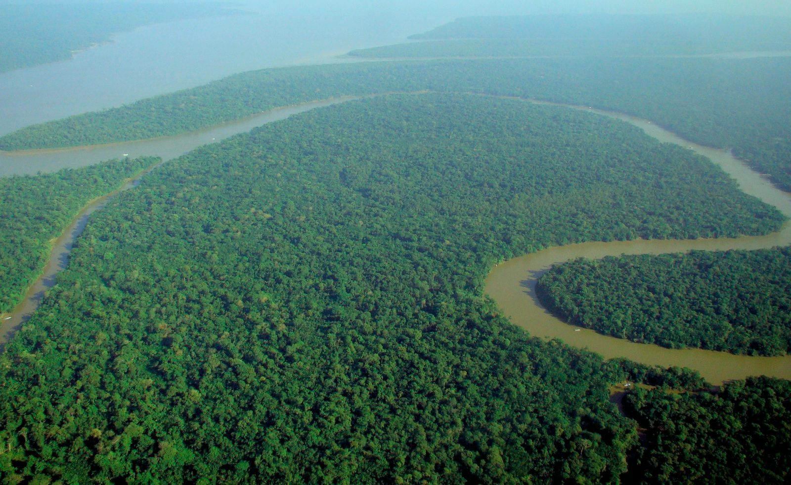 Aerial view of a winding river through the Amazon rainforest